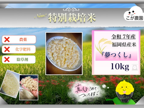 準自然米　福岡県産「夢つくし」令和6年産　玄米10kg   発芽玄米におすすめ 準自然米 大好評の福岡県産「夢つくし」令和7年産 玄米10kg