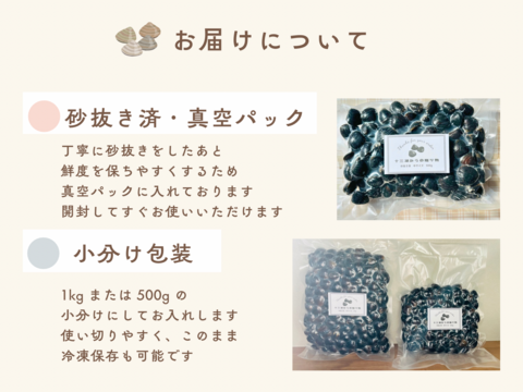 【一番人気】十三湖産「大和しじみ」中サイズ2kg