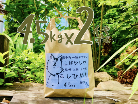 24年度産新米!! もっちもち!! 信州上田産コシヒカリ白米4.5kgx2袋【米ぬか付き】 おむすび　お弁当に!!　24年度産新米!!　令和6年新米 農家直送