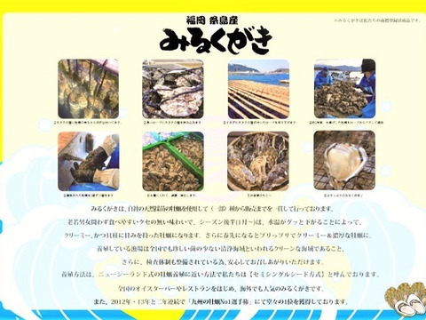【 牡蠣 】みるくがき Ｍサイズ 30個（2.1～2.7kg）  福岡県糸島産 活 牡蠣