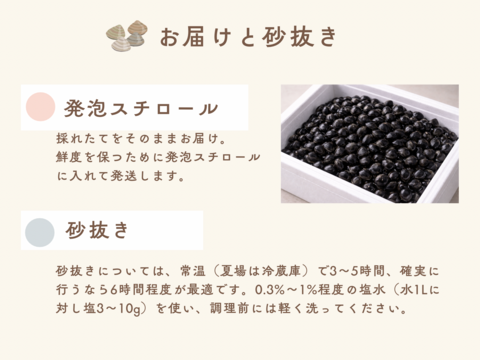 【送料お得】十三湖産大和しじみ　お得なおまかせサイズ5kg