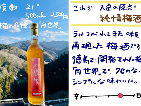 大畠の原点を知りたい人へ「純情梅酒」500ml　甘口梅酒　アルコール度数２１度