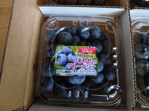 農薬・化学肥料不使用】完熟！大粒ブルーベリー（生食用）100g