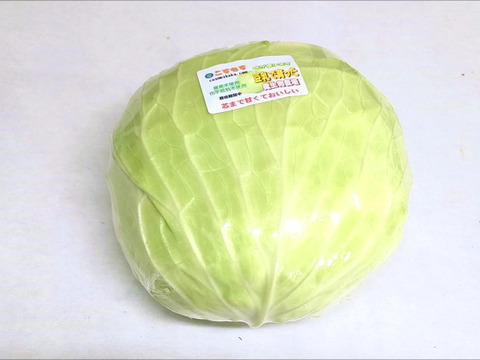 オレンジキャンディ様専用セット