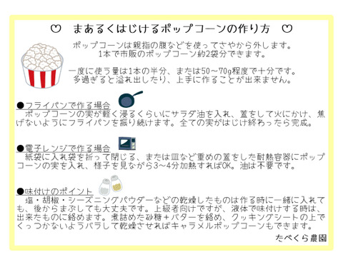 数量限定　まあるくはじける☆ポップコーン（バラ500g）　ビールのおともに・こどものおやつに