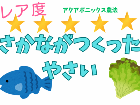 【年末年始は豪華に時短‼️】サラダセット4〜5種類入り🌱年越しはこれで😊