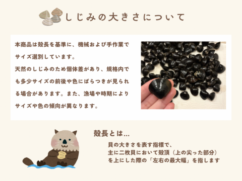 出汁がたっぷり【寒しじみ】十三湖産お得な小サイズ2kg