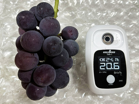 真っ黒甘い！岡山県産種なしニューピオーネ　約250gｘ4パック（約1kg、4パック）