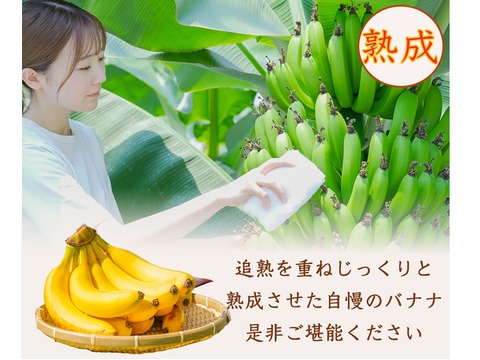【ご家庭用】皮まで食べれる！農薬不使用、栃木県益子町産バナナ(1kg)