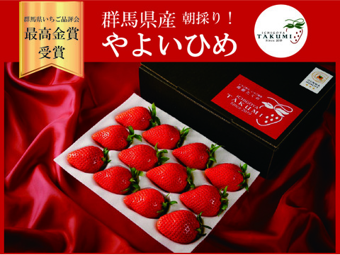 【贈答用】品評会最高金賞受賞 朝採れ甘熟いちご (400g x 4箱) おすそ分けにもオススメ！