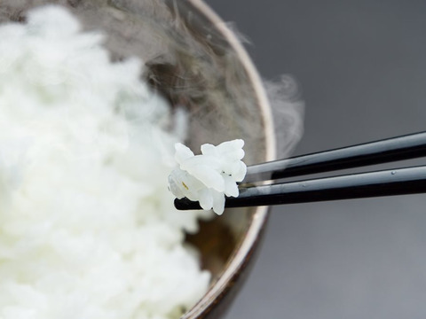 ヒトメボレ　植物性自然栽培米