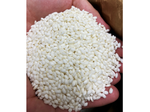 令和６年 ''隠れたお米の名産地''新潟県五泉産わたぼうし（もち米）精米5kg