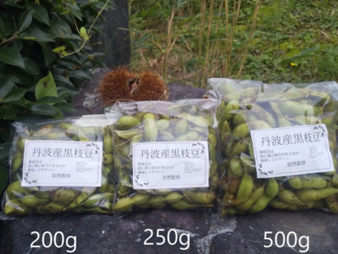 丹波産　自然栽培黒枝豆（1.5kg）500ｇ×3袋
