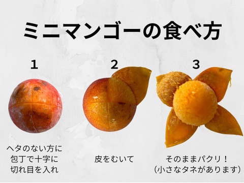 完熟！冷凍ミニマンゴー1㎏