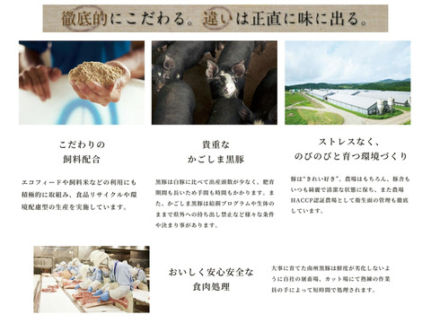 【添加物なし!!】鹿児島黒豚ノン・アッドソーセージ詰合せ