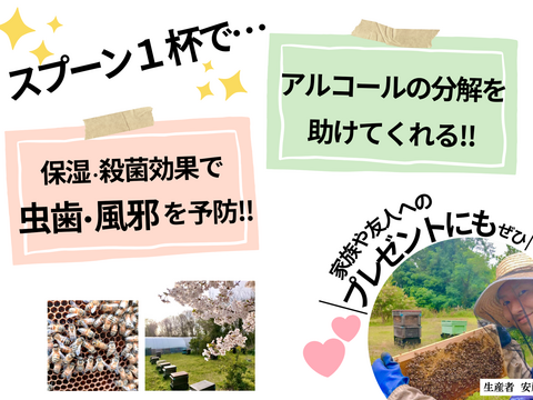 添加物なし】天然はちみつ 600g 蜂蜜 ハチミツ セイヨウミツバチ
