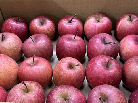 【極小玉・バラ詰め】サンふじ🍎家庭用約2.7Kg🍎毎日りんご　コスパ抜群　青森県産　数量限定