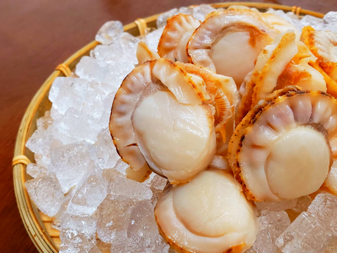 ギフト 海の旨味が詰まった蒸しほたて 冷凍１ｋｇ 青森県産 食べチョク 農家 漁師の産直ネット通販 旬の食材を生産者直送