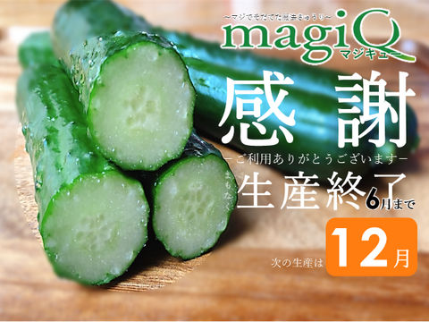 まもなく生産終了 個包装 保管に便利な６袋 化学肥料なしパリッ甘きゅうり 宮崎県産 食べチョク 農家 漁師の産直ネット通販 旬の食材を生産者直送