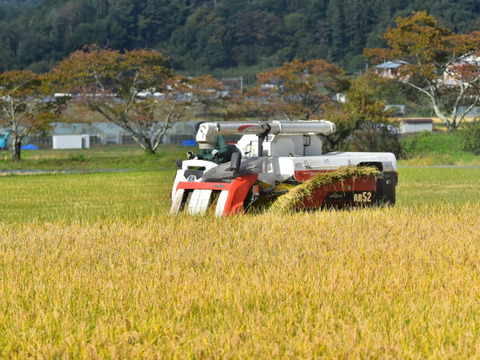 【令和7年産・新米】農薬・化学肥料不使用　長野県産ゆうだい21【玄米10kg】