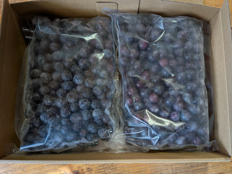 除草剤不使用、特別栽培認証の冷凍ブルーベリー１キロ小粒（ジャム、スムージー、加工用）