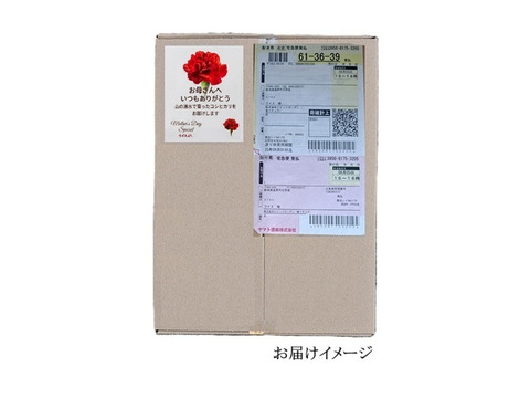 【母の日】新潟米とちお産コシヒカリ4kg（2kg×2）感謝のメッセージカード付