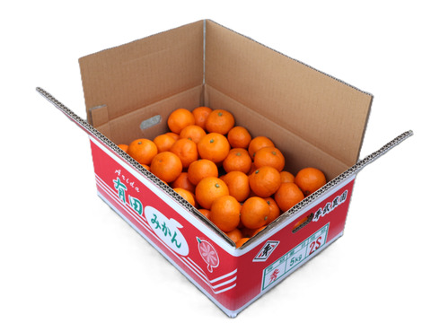 【冬ギフト】農家直送！有田みかん5kg≪2Sサイズ（小玉）秀品≫【平武農園】～蛍飛ぶ町から旬の便り～　和歌山｜有田｜田口｜ギフト｜こだわり　産地直送　お取り寄せ