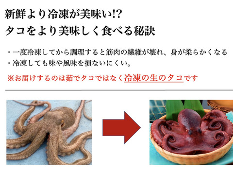 2種のタコ 食べ比べ 蛸壺漁師が送る 一味違う自慢の味 愛知 日間賀島産 丸ごと1匹 ぶつ切り 愛知県産の魚 食べチョク 産地直送 産直 お取り寄せ通販 農家 漁師から旬の食材を直送