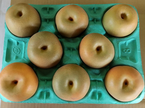 【9/3まで】【コンビニ決済不可】幸水 3kg 4Lサイズ(8玉入)