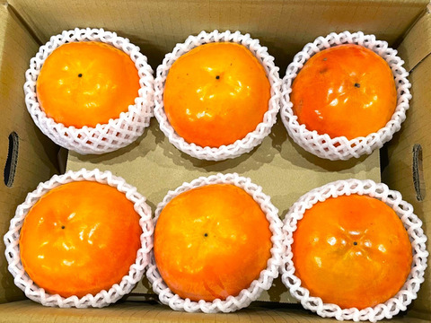 特別な木から採れた富有柿、あまぁ～い! 　約4.5kg (14~18玉前後)