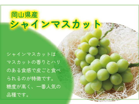 どちらも食べたい‼岡山県産『シャインマスカット＆ピオーネ』いろどりセット＜ご自宅用2kg＞