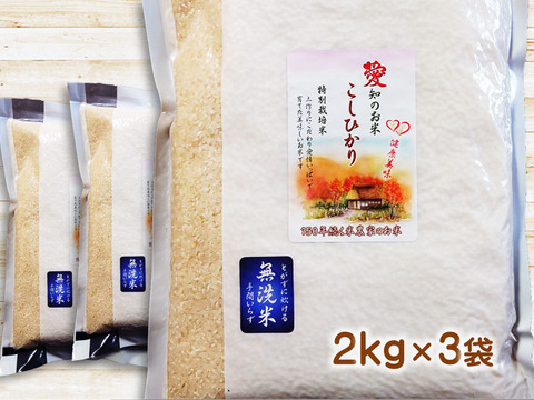 防災食・備蓄米に 無洗米 ６ｋｇ（２ｋｇ×３袋）コシヒカリ 特別栽培米 愛知県産１００％
