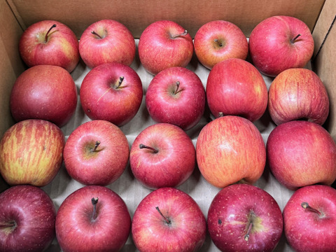 【ジュース加工用・極小玉 バラ詰め】サンふじ🍎約2.7Kg🍎手のひらサイズ　加工用りんご　青森県産　数量限定