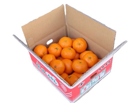 【冬ギフト】農家直送！有田みかん3kg≪Lサイズ 秀品≫【平武農園】～蛍飛ぶ町から旬の便り～　和歌山｜有田｜田口｜ギフト｜こだわり　産地直送　お取り寄せ
