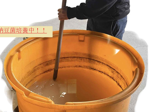 淡路島玉ねぎ　訳あり品 １０ｋｇ　お買い得！残留農薬不検出。