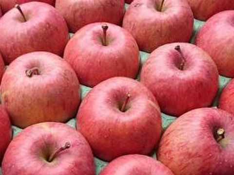 小玉りんご好きな方へ/特別栽培りんご小玉2.5キロ（12個）