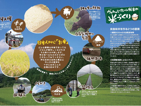 コシヒカリ玄米10㎏ 令和5年 神石高原町産 粘りと甘さのバランスが絶妙！