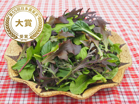 第55回日本農業賞大賞受賞！ベビーリーフ【100g×３袋】