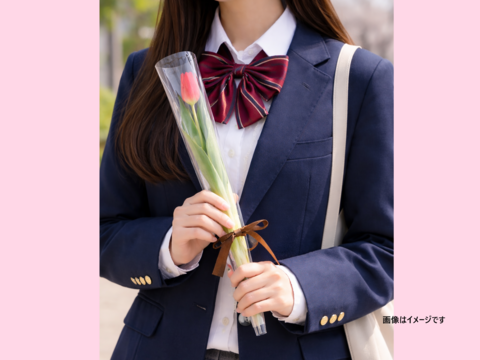 ご卒業・ご入学のお祝いチューリップ　1輪ラッピング🌷5本～（2個　10本でおまとめ可能）※北海道全域・沖縄県全域　配送不可※