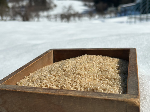 【7年産新米】 残留農薬ゼロの特別栽培米あきたこまち 5kg （玄米）特Aランク 一等米