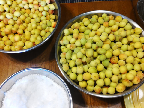 農薬化成肥料除草剤不使用で自然塩のみで仕上げた昔ながらの酸っぱい梅干し400g 2袋です。