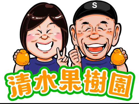 不知火加工用です。サイズ大小いろいろ、形の悪いもの、傷があります。