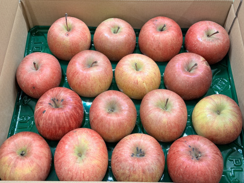 【大玉🍎】葉とらずサンふじ🍎訳あり５Kg　青森県産