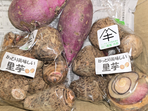 【今年も里芋始まりました】
ねっとりホクホクの里芋　1kg（2回使い切りサイズ）
里芋のレシピと下処理方法マニュアル付き
煮物・芋炊き鍋・グラタンと何でも美味しい
山里の育ちの「里芋です」