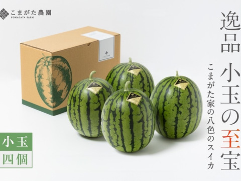 【7月下旬より発送開始】とにかく甘い！数量限定八色産【小玉スイカ】「こまがた家の八色のスイカ」4玉