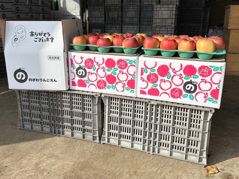 ★★新春セール★★🍎約１０キロ🍎レビュー数1900件突破！！葉とらずふじ【家庭用】２６玉～４３玉 青森りんご リンゴ 商品ID197581 大容量　訳あり