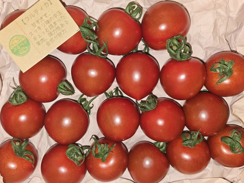 【毎日のサラダやお弁当に】甘すぎず、後味すっきり。果汁あふれる万能中玉トマト「フルティカ」１.７㎏箱