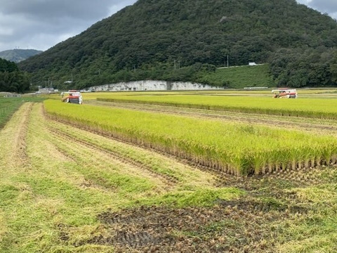 令和7年産ヒノヒカリ玄米10kg