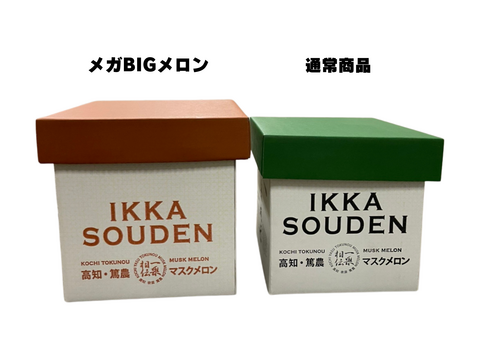 50箱限定価格！【メガBIG！！】1玉箱入り高糖度マスクメロン