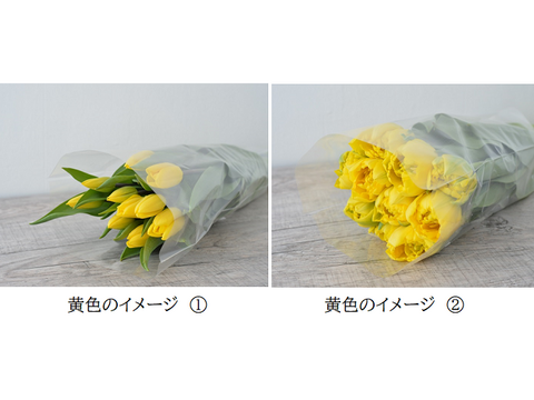 3月4日 金 発送 新潟県産チューリップ切り花 10本アソートセット 5本束 2品種 北海道 沖縄県配送不可 新潟県産の花 植物 食べチョク 産地直送 産直 お取り寄せ通販 農家 漁師から旬の食材を直送